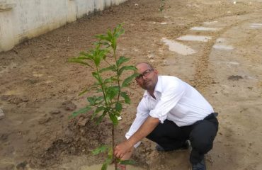 Plantation2019_21