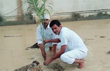 Plantation2019_1