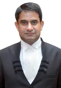 HON'BLE JUSTICE PRANAY VERMA