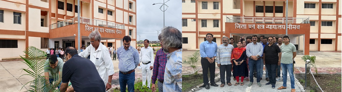 DC-Neemuch Plantation