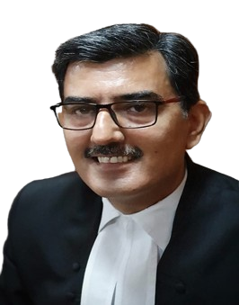 Hon'ble Shri Justice Sheel Nagu