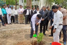 special event plantation