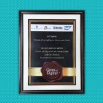 Gem of Digital India award