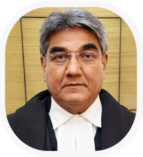 Honourable Mr. Justice Vijay Bishnoi