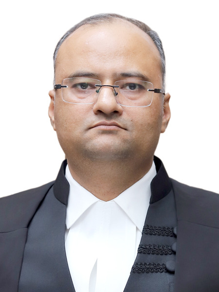 JUSTICE_VIVEK_JAIN