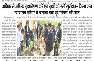 World Environment day