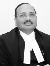 Surya Kant Chief Justice of India