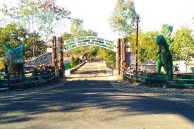 Ghughwa fossil and park