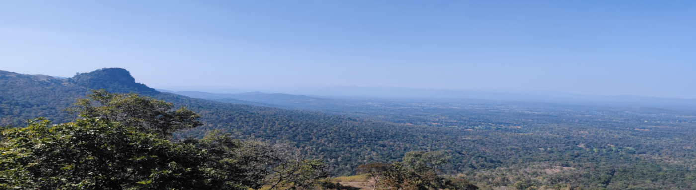 पातालकोट तामिया छिंदवाड़ा