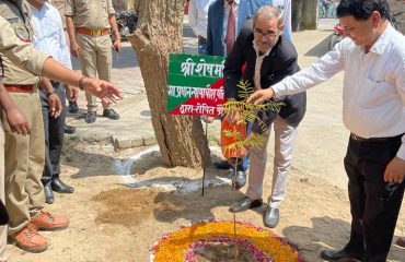 Tree plantation by Principal Judge on Environment Day