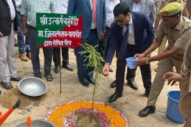 Tree plantation by District Judge on Environment Day