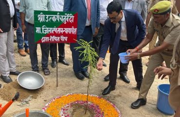 Tree plantation by District Judge on Environment Day