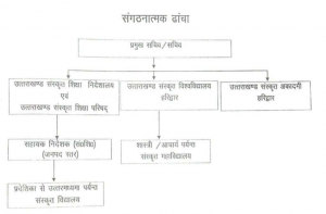 Department Structure