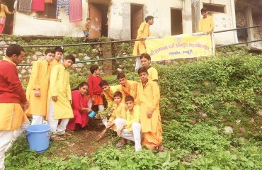 Plantation by Students
