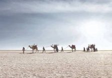 rann of kutch Image;?>