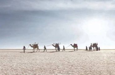 rann of kutch Image