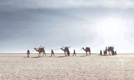 rann of kutch Image