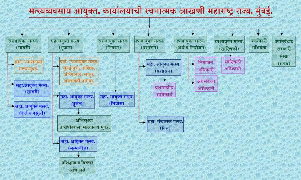 Administrative Setup