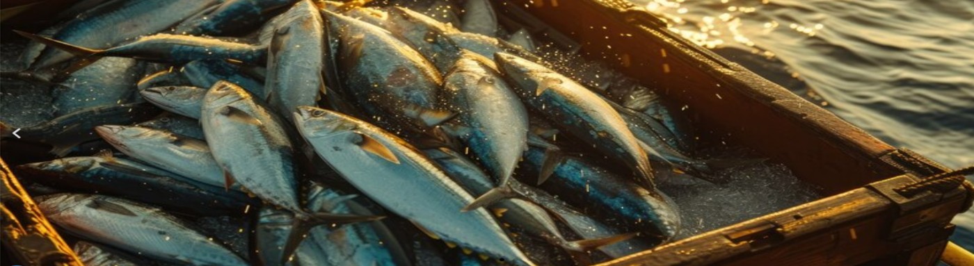 Fisheries Banner