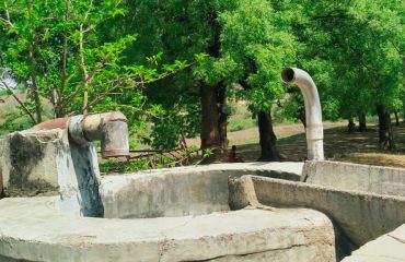 मत्स्यबीज संवर्धन केंद्र पुस जिल्हा यवतमाळ