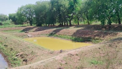 मत्स्यबीज संवर्धन केंद्र पुस जिल्हा यवतमाळ