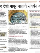 देशी मागूर संवर्धन