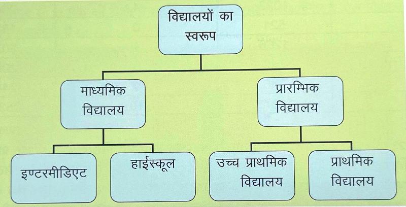 school structure1