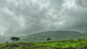 हवामान