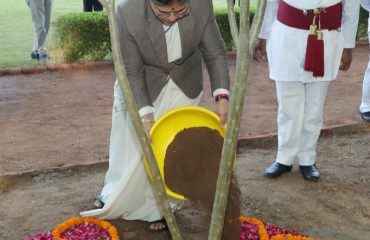 Tree Plantation 20.04 (1)