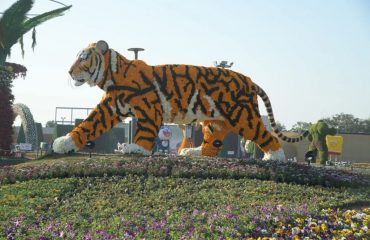 Flower show-2025
