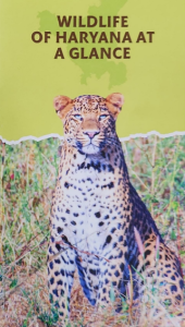 brochure wildlife of haryana