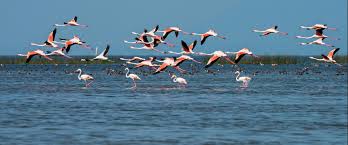 Chhilchhila Wildlife Sanctuary