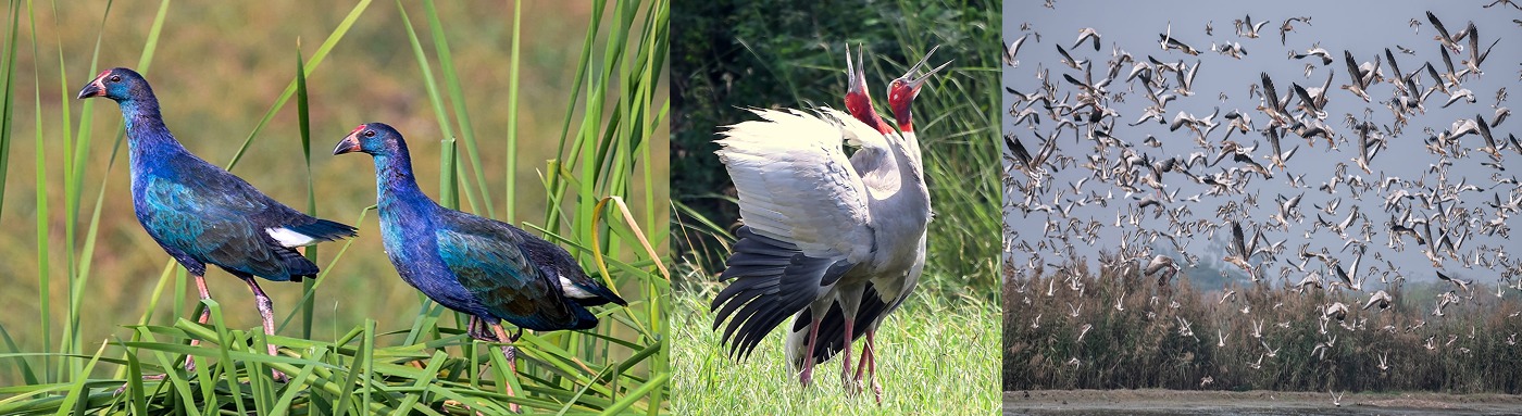 Khol Hai Raitan Wildlife Sanctuary