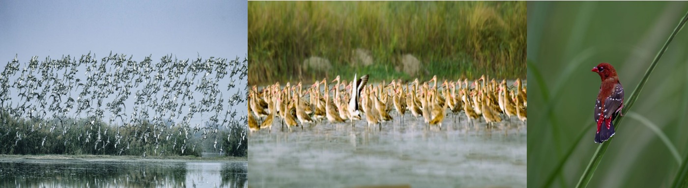 Nahar Wildlife Sanctuary