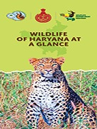 NEW-HR-WPA-Brochure-Tri-Fold-(15.58×8.27