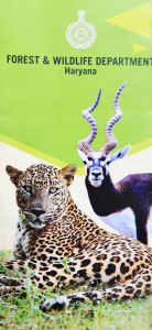 brochure scheme for Adoption