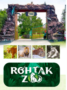 rohtak-zoo-publication