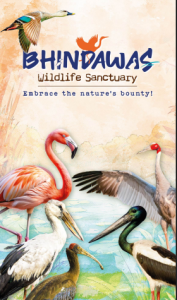 bhindawas-publication