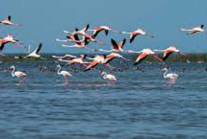 Chhilchhila Wildlife Sanctuary