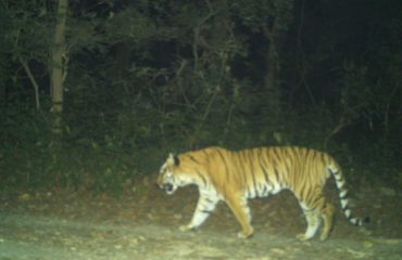 Kalesar National Park