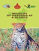 NEW-HR-WPA-Brochure-Tri-Fold-(15.58×8.27