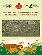 KURUKSHETRA-Brochure-BioFold-(A4)-readable