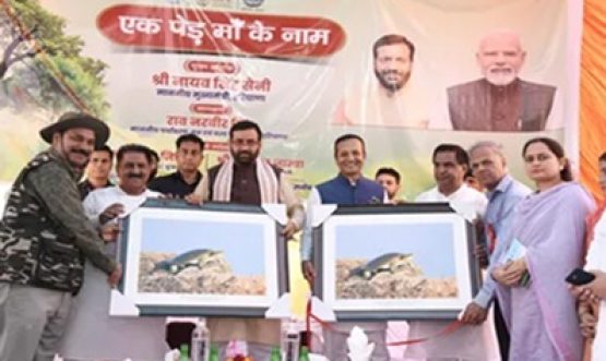 event for climate change