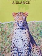 brochure wildlife of haryana