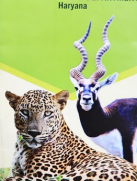 brochure scheme for Adoption