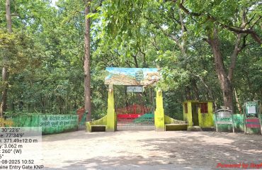 Kalesar National Park