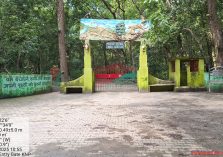 Kalesar National Park;?>