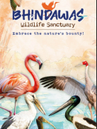 bhindawas-publication