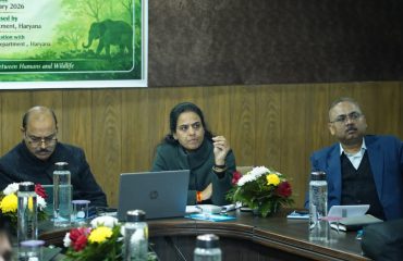 Wildlife and Human Conflict