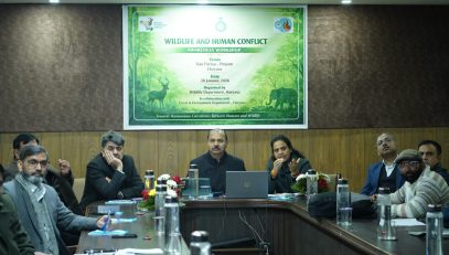 Wildlife and Human Conflict